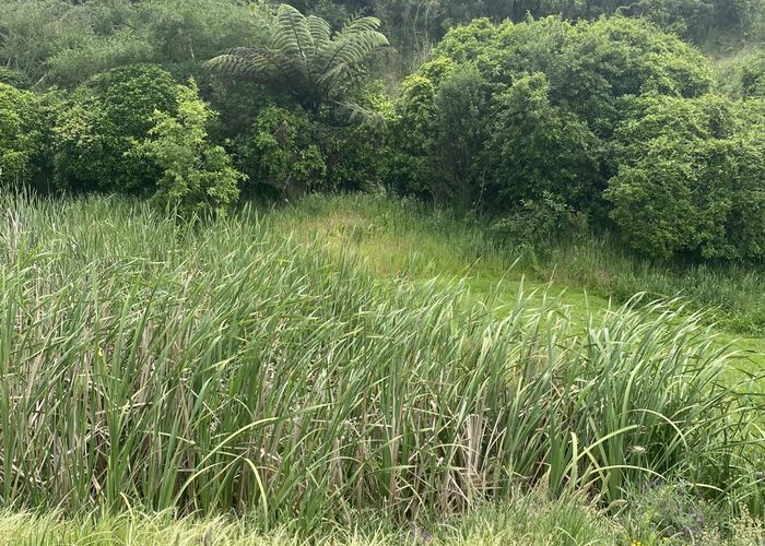  at 167 Wilson Road, Patea, South Taranaki, Taranaki