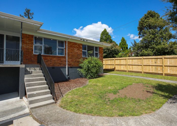  at 30 Thomson Avenue, Dinsdale, Hamilton