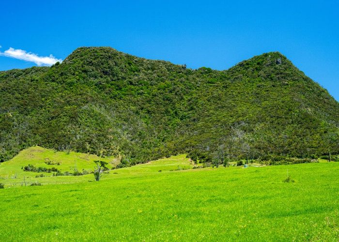  at Lot 1 Basil Road, Whangarei Heads, Whangarei, Northland