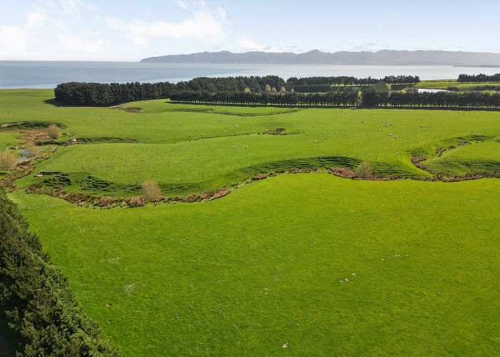  at 2057 Cape Palliser Road, Martinborough, South Wairarapa, Wellington