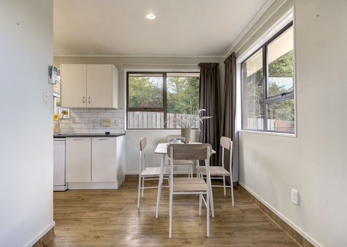  at 19 Millar Place, Nawton, Hamilton