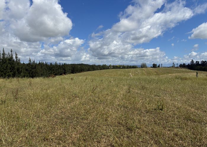  at Opihi School Road, Pleasant Point, Timaru, Canterbury
