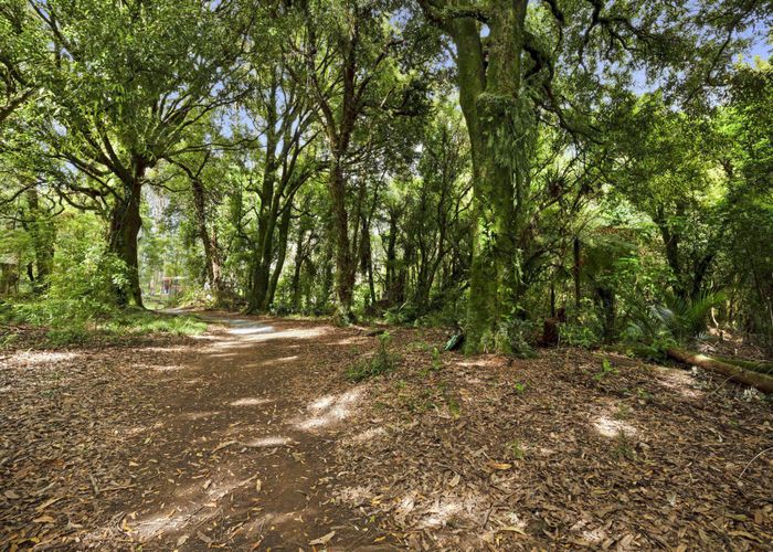  at 1256 Carrington Road, Hurworth, New Plymouth