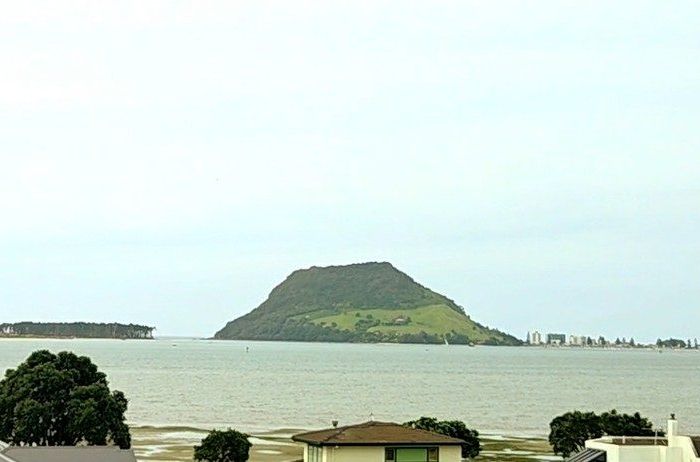  at 20A Seaway Terrace, Matua, Tauranga, Bay Of Plenty