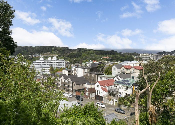  at 62 Rolleston Street, Mount Cook, Wellington, Wellington