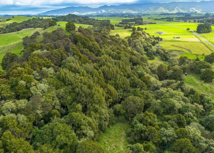  at 137 Kiritaki Road, Dannevirke