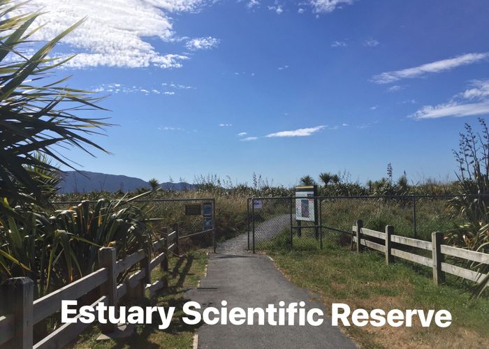  at 102 The Drive, Paraparaumu Beach, Kapiti Coast, Wellington