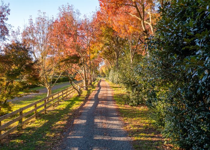  at 107 Windmill Road, Tamahere, Hamilton