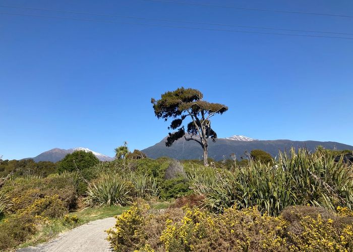  at 0 Hannahs Clearing, Jackson Bay, Haast