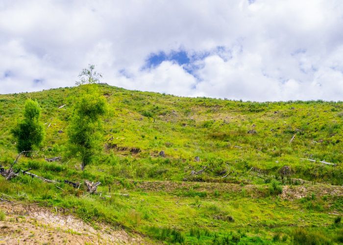  at 162 Lake Road, Waituhi, Gisborne