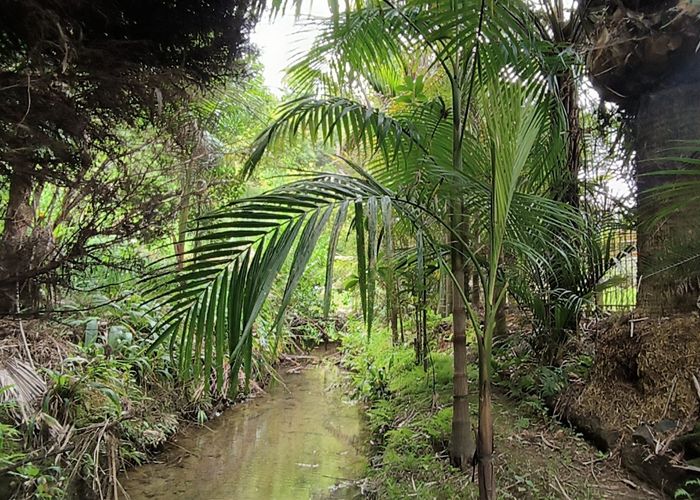  at 27 Ranfurly Place, Kamo, Whangarei, Northland