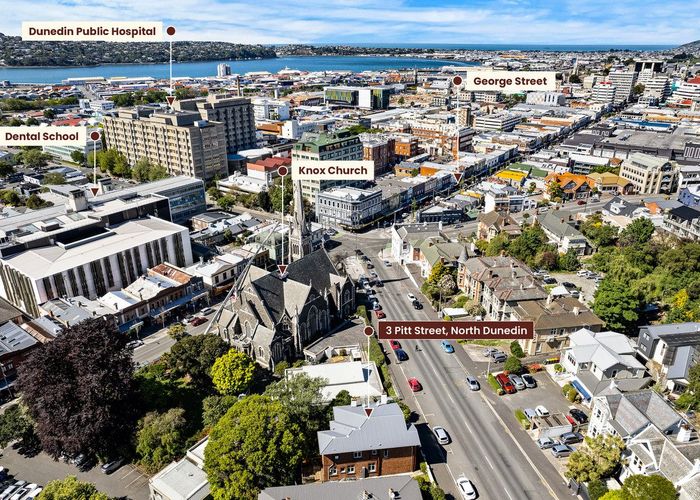 at 3 Pitt Street, North Dunedin, Dunedin, Otago