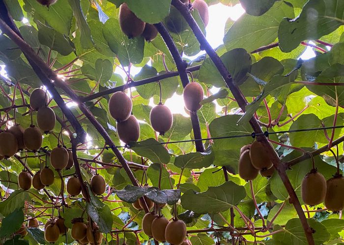  at 97 Long Plain Road, Takaka, Tasman, Nelson / Tasman