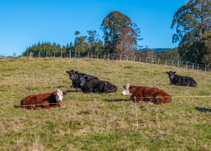  at 604 Waiwhero Road, Ngatimoti, Upper Moutere