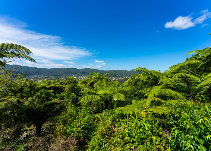  at 29 Gurney Road, Kelson, Lower Hutt