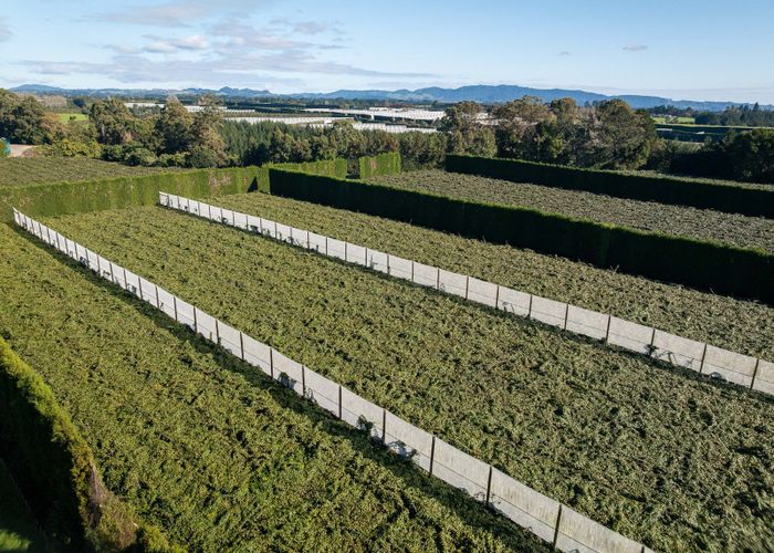  at 172 Maungarangi Road, Te Puke, Western Bay Of Plenty, Bay Of Plenty