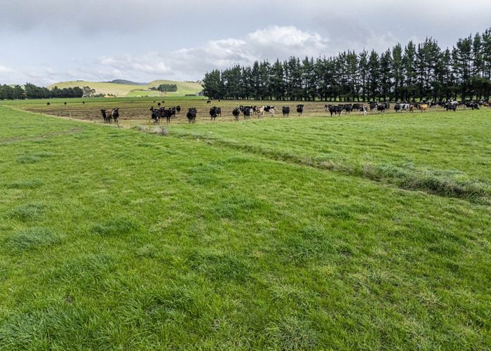  at State Highway 2, Takapau, Central Hawke's Bay, Hawke's Bay