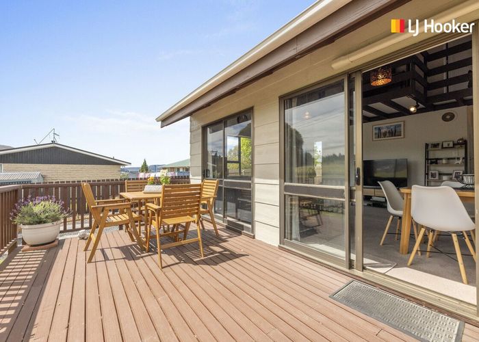  at 203 Dalziel Road, Brockville, Dunedin
