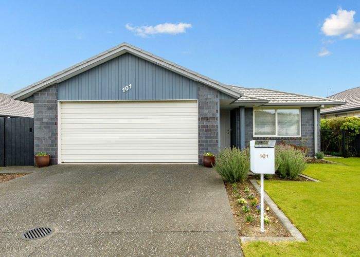  at 101 Landing Drive, Pyes Pa, Tauranga, Bay Of Plenty