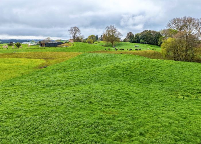  at 0 Pine Road, Putaruru, South Waikato, Waikato