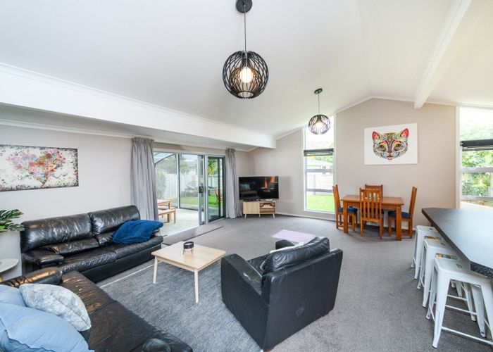  at 17 Patea Place, Terrace End, Palmerston North