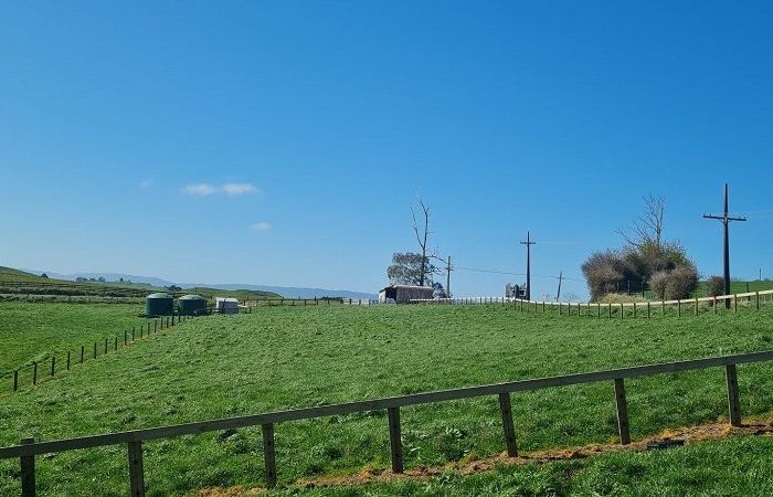  at 3 Pahihi Road, Tirau, South Waikato, Waikato