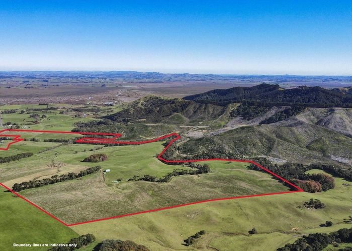  at 473 Falls Road, Waerenga, Waikato, Waikato