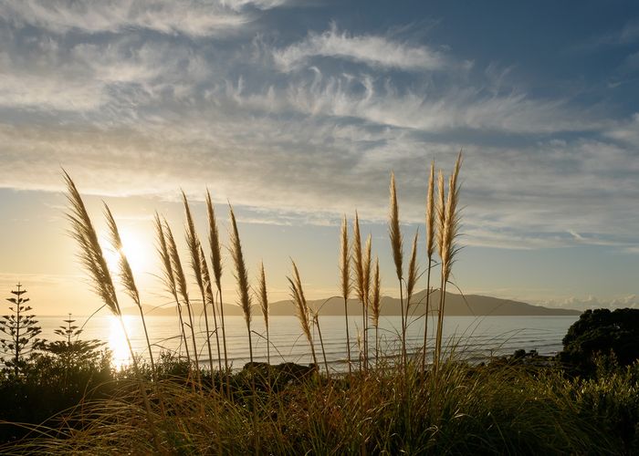  at 55 The Esplanade, Raumati South, Paraparaumu