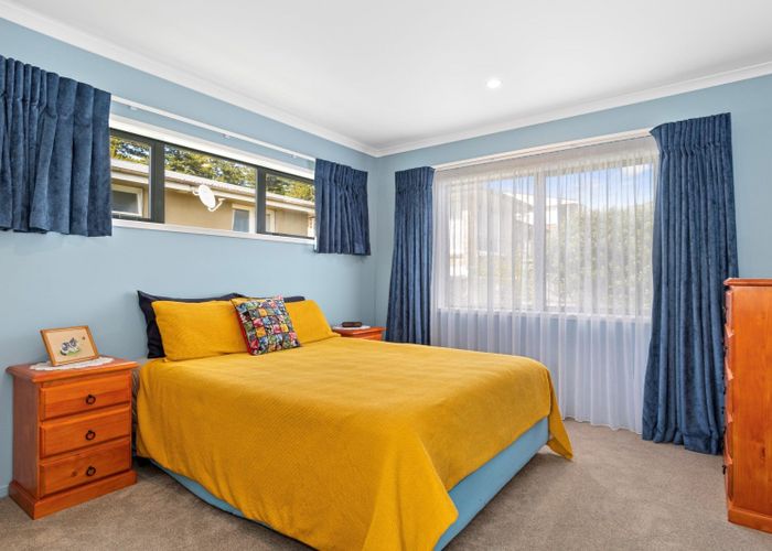  at 51 Harrier Street, Parkvale, Tauranga