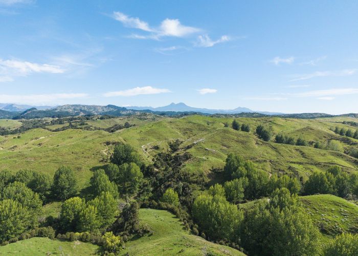  at Fernside Station, 1555 Fernside Road, Tokomaru Bay, Gisborne, Gisborne