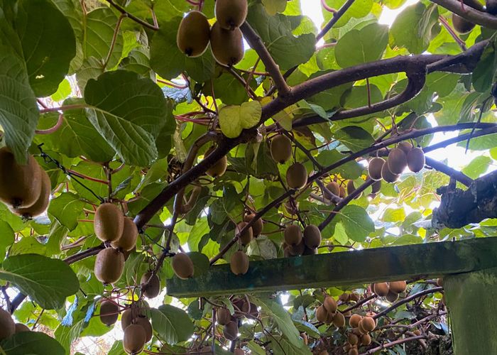  at 97 Long Plain Road, Takaka, Tasman, Nelson / Tasman