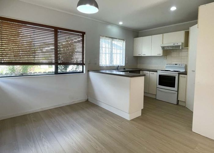  at 17a Udall Place, Bucklands Beach, Manukau City, Auckland
