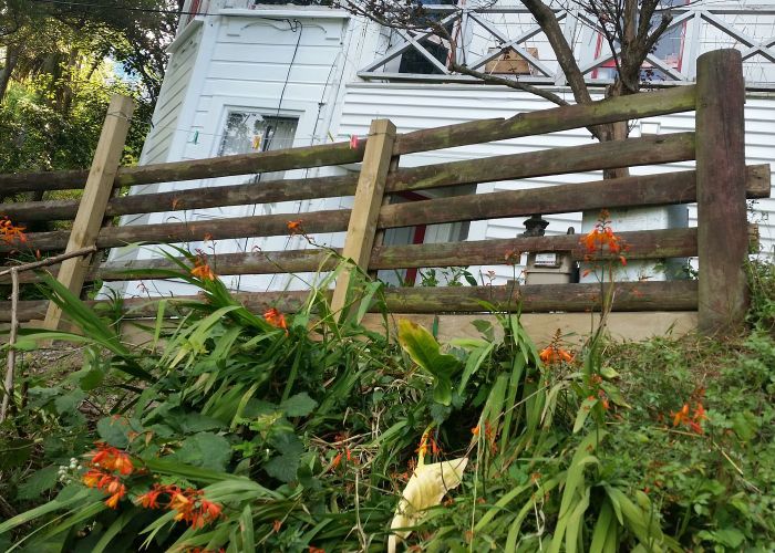  at 13 Mortimer Terrace, Aro Valley, Wellington