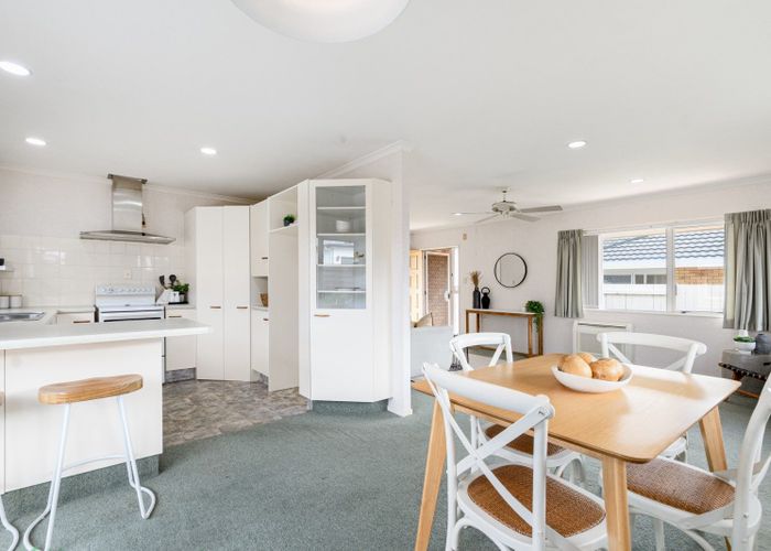 at 482B Devonport Road, Tauranga South, Tauranga