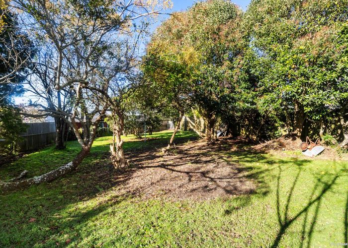  at 43 Tui Street, Point Chevalier, Auckland