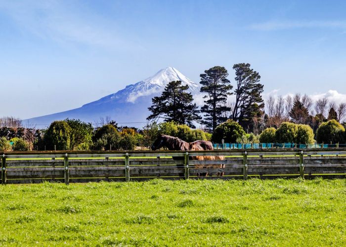  at 294 Austin Road, Normanby, Hawera