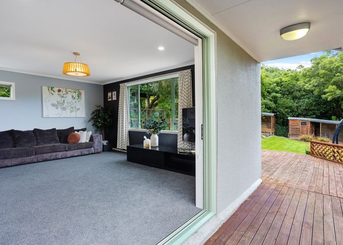  at 50 Every Street, Andersons Bay, Dunedin