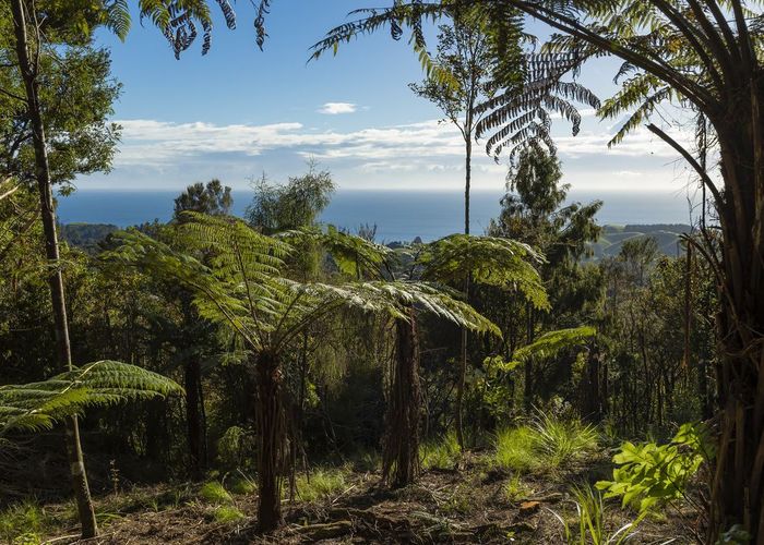  at lot 3/1070 Wainui Road, Kaeo, Far North, Northland