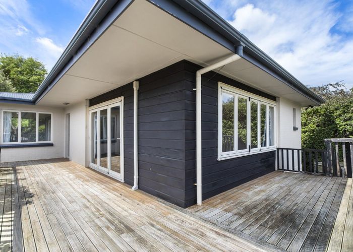  at 8 Alison Street, Hamilton Lake, Hamilton