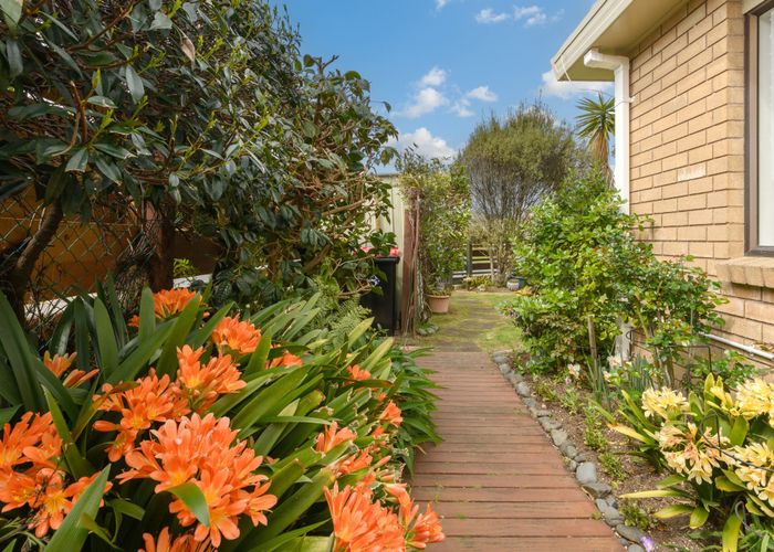  at 13A Solway Place, Mount Maunganui, Mount Maunganui