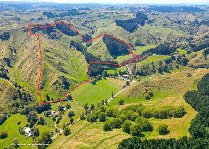  at Lot 1, Longacre Road, Okoia, Whanganui, Manawatu / Whanganui