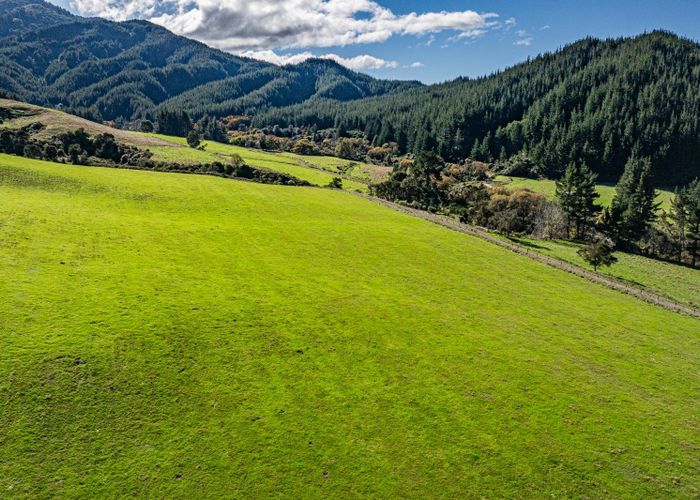  at 1642 Motueka River West Bank Road, Tasman, Tasman, Nelson / Tasman