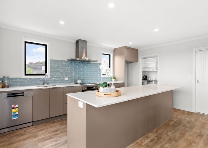  at 1/245 Panama Road, Mount Wellington, Auckland City, Auckland