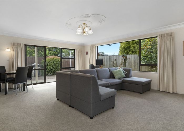  at 3/478 Devonport Road, Tauranga South, Tauranga