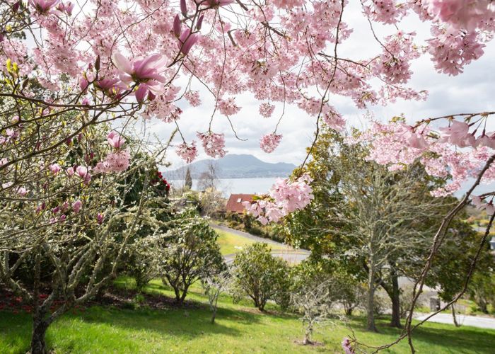  at 21 Brunette Drive, Acacia Bay, Taupo, Waikato