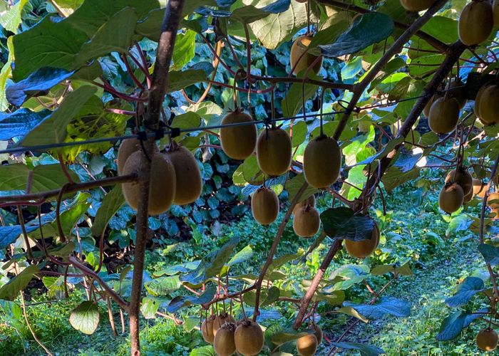  at 97 Long Plain Road, Takaka, Tasman, Nelson / Tasman