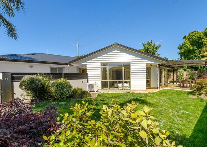  at 3 Plover Place, Maungatapu, Tauranga