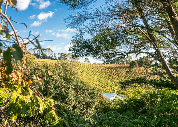  at 6 Trig Hill Road, Onetangi, Waiheke Island