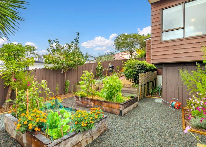  at 1/78 Velma Road, Hillcrest, Auckland