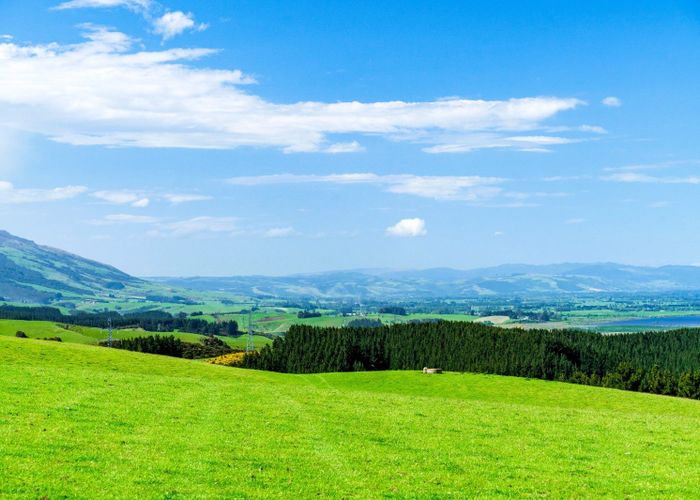  at Waihola Hill Road, Waihola, Clutha, Otago